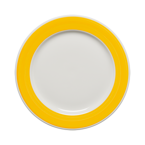 Brush Tones Dinner Plate - USA Dinnerware Direct, Plate proudly made in the USA by the Fiesta Tableware Company